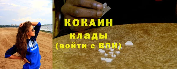 спайс Дмитриев