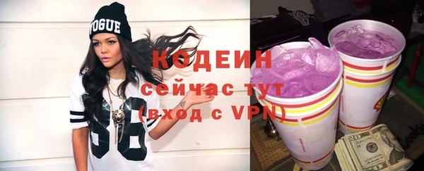 apvp Дмитров