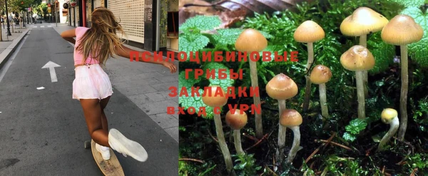 спайс Дмитриев