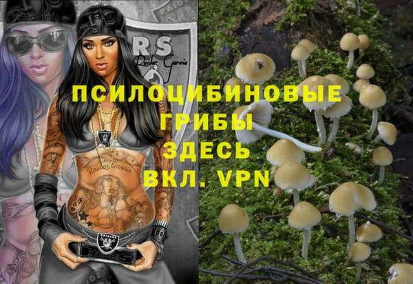 дурь Рославль