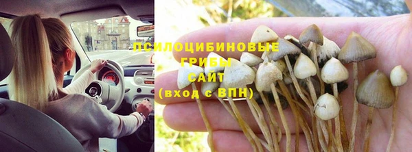 спайс Дмитриев