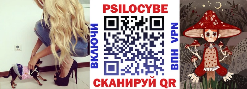 OMG рабочий сайт  Сердобск  Галлюциногенные грибы Psilocybine cubensis 