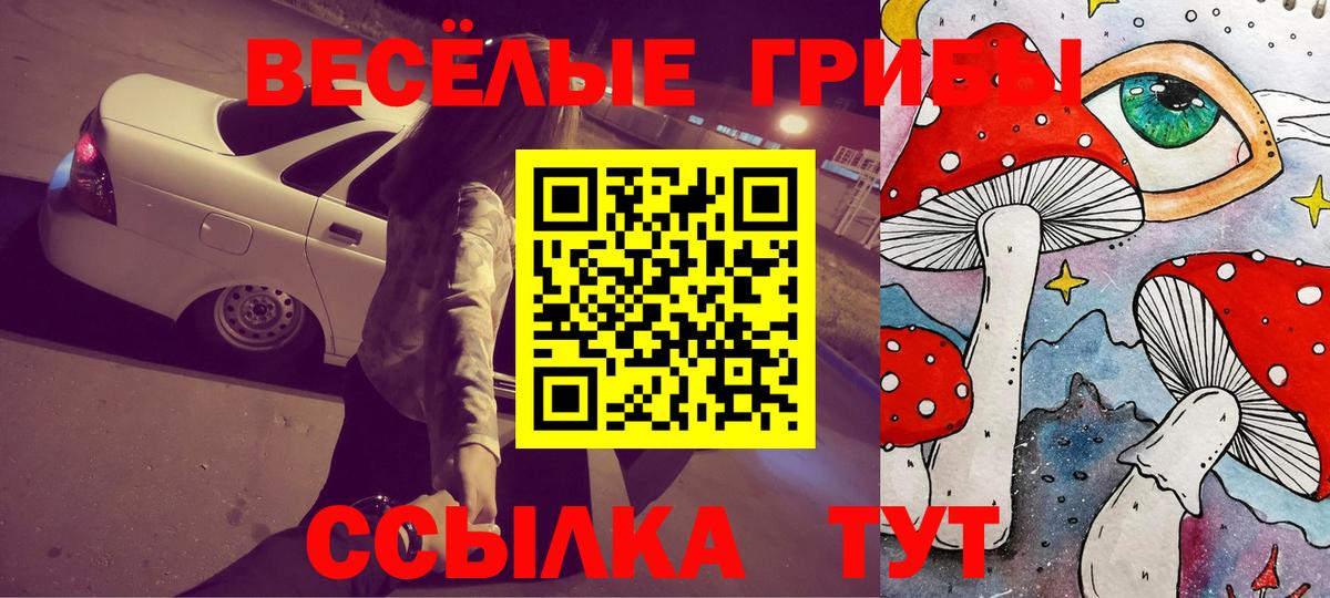 Галлюциногенные грибы GOLDEN TEACHER  Вход с VPN  Сердобск 