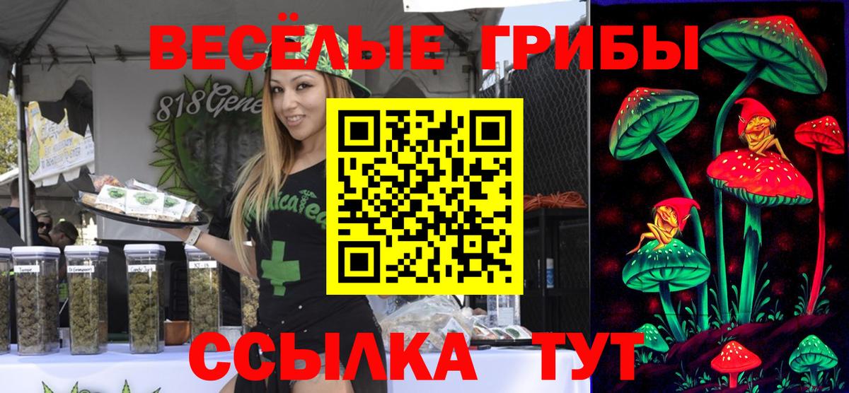 Псилоцибиновые грибы GOLDEN TEACHER Сердобск