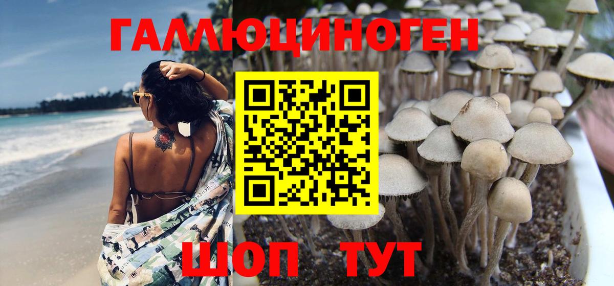 Псилоцибиновые грибы Magic Shrooms  Сердобск 